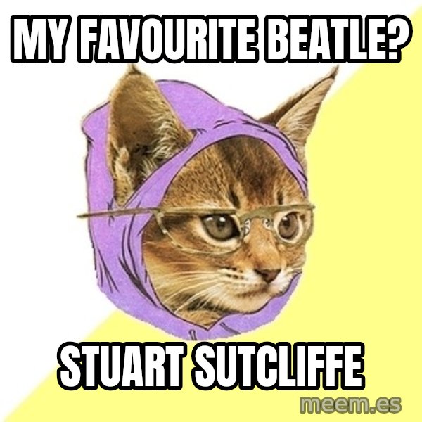 Hipster Kitty meme: my favourite beatle? / stuart sutcliffe