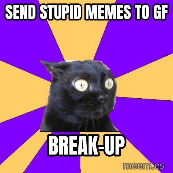 Anxiety Cat meme: send stupid memes to gf / break-up