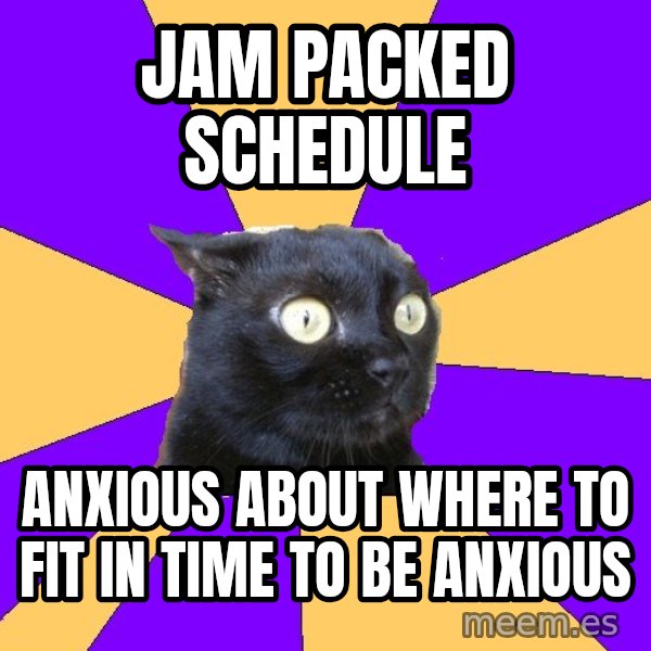 Anxiety Cat meme: JAM PACKED SCHEDULE / anxious about where to fit in time to be anxious