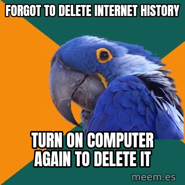 Paranoid Parrot meme: forgot to delete internet history / Turn on computer again to delete it