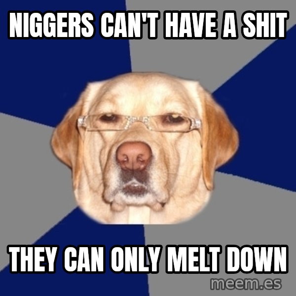 Racist Dog meme: niggers can't have a shit / they can only melt down