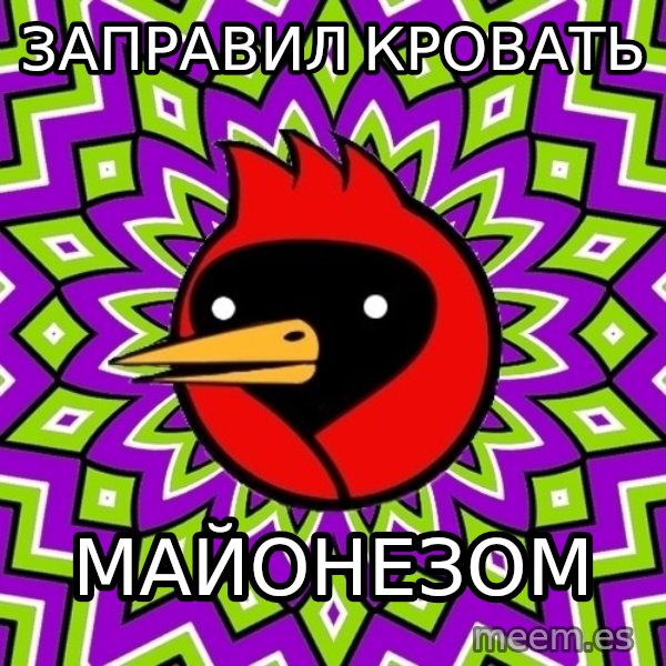 Omsk Crow meme: ЗАПРАВИЛ КРОВАТЬ / МАЙОНЕЗОМ