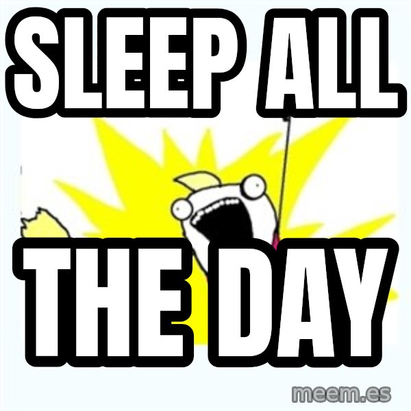 X ALL THE THINGS meme: Sleep ALL / the day