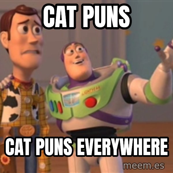 Tseverywhere meme: CAT PUNS / CAT PUNS EVERYWHERE