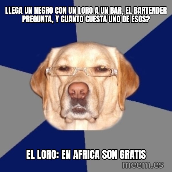 Racist Dawg meme: llega un negro con un loro a un bar, el bartender pregunta,  y cuanto cuesta uno de esos? / el loro: en africa son gratis