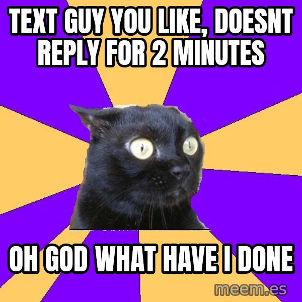 Anxiety Cat meme: text guy you like, doesnt reply for 2 minutes / oh god what have i done
