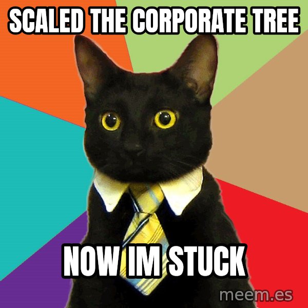 Business Cat meme: Scaled the corporate tree / now im stuck