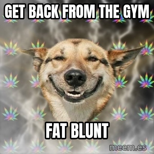 Stoner Dog meme: Get back from the gym / fat blunt