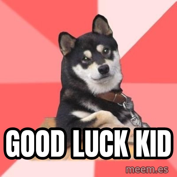 Cool Dog meme: Good Luck Kid
