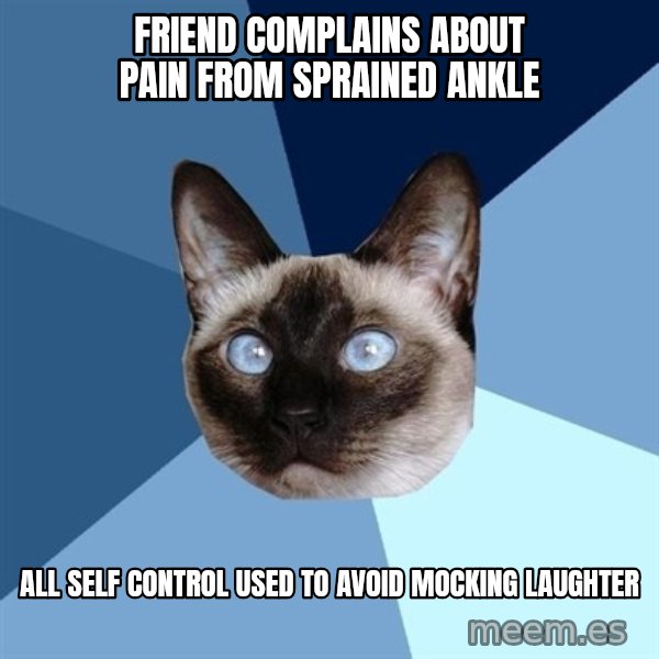 Chronic Illness Cat meme: Friend complains about pain from sprained ankle / All self control used to avoid mocking laughter