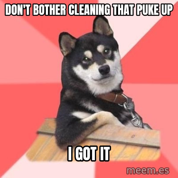 Cool Dog meme: Don't bother cleaning that puke up / I got it
