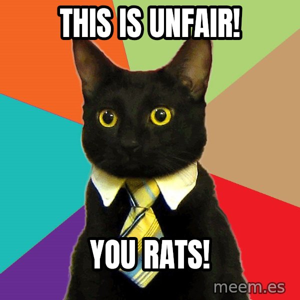 Business Cat meme: This is unfair! / you rats!