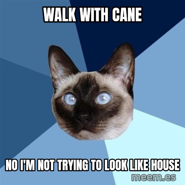 Chronic Illness Cat meme: Walk with cane / No I'm not trying to look like house