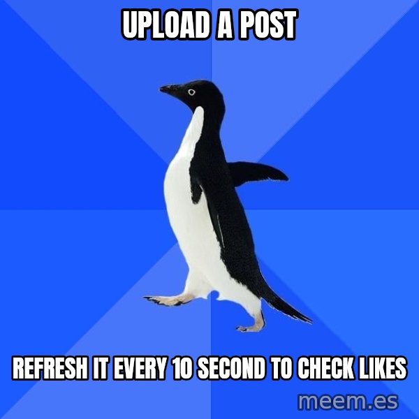 Socially Awkward Penguin meme: upload a post / refresh it every 10 second to check likes