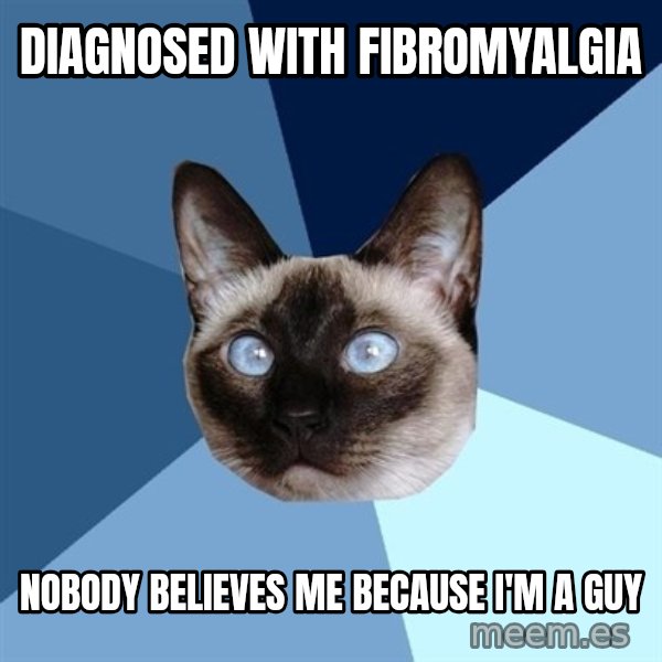Chronic Illness Cat meme: diagnosed with fibromyalgia / nobody believes me because i'm a guy