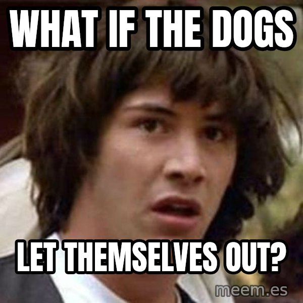Conspiracy Keanu meme: What if the dogs / let themselves out?