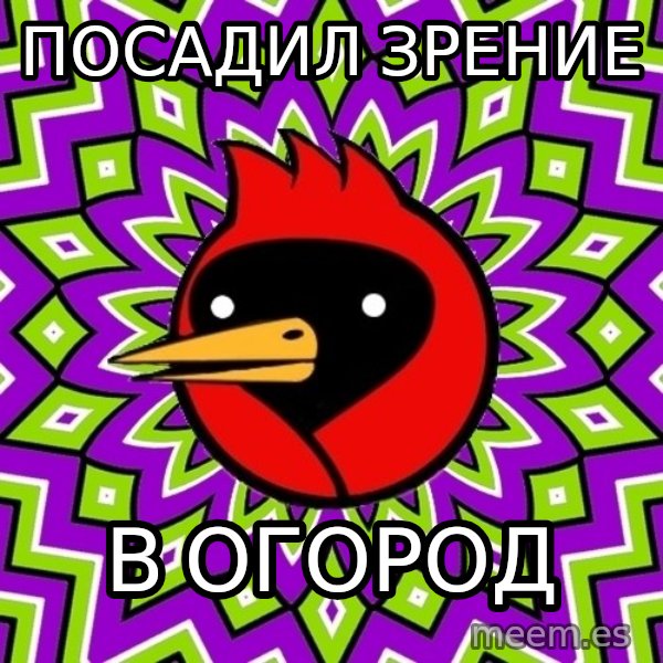 Omsk Crow meme: посадил зрение / в огород
