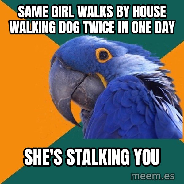 Paranoid Parrot meme: Same girl walks by house walking dog twice in one day / she's stalking you