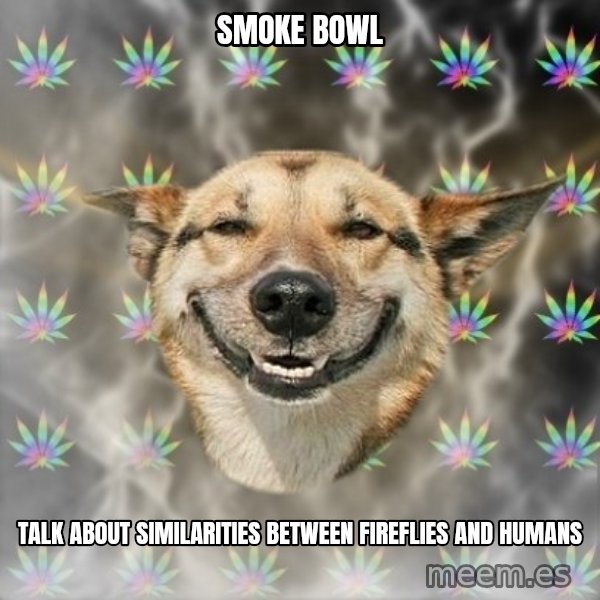 Stoner Dog meme: Smoke Bowl / talk about similarities between fireflies and humans