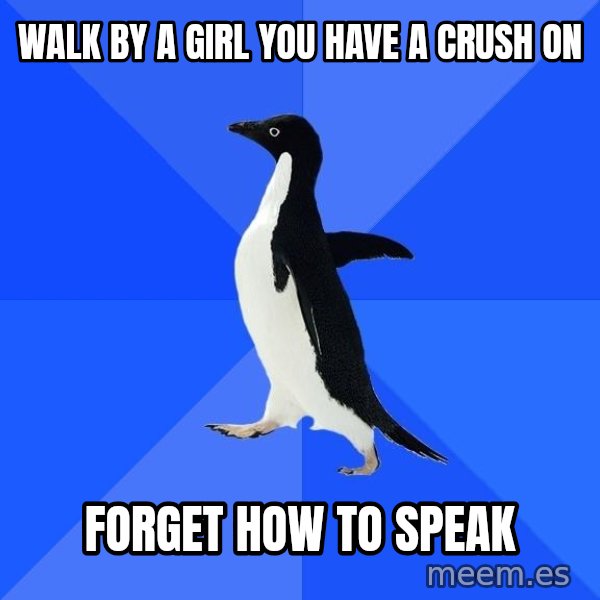 Socially Awkward Penguin meme: walk by a girl you have a crush on / forget how to speak