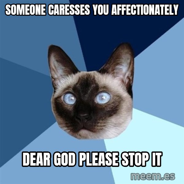 Chronic Illness Cat meme: someone caresses you affectionately / DEAR GOD PLEASE STOP IT