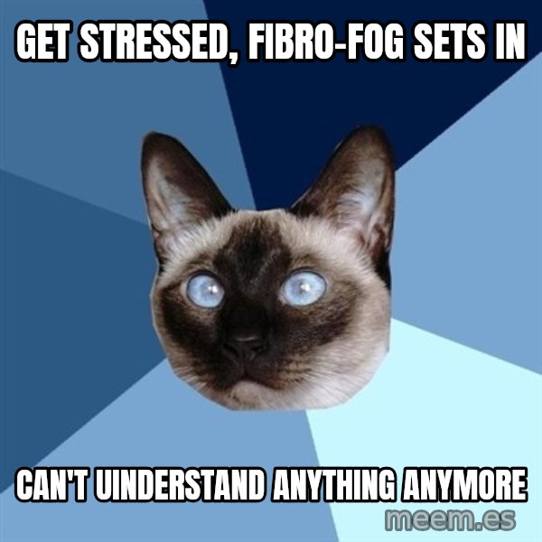 Chronic Illness Cat meme: Get stressed, fibro-fog sets in / can't uinderstand anything anymore