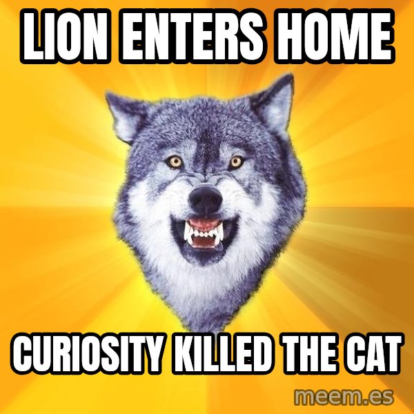 Courage Wolf meme: LION ENTERS HOME / CURIOSITY KILLED THE CAT