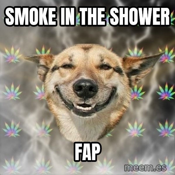 Stoner Dog meme: smoke in the shower / fap