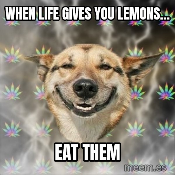 Stoner Dog meme: when life gives you lemons... / eat them