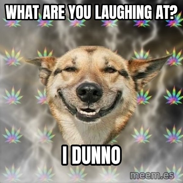 Stoner Dog meme: what are you laughing at? / i dunno
