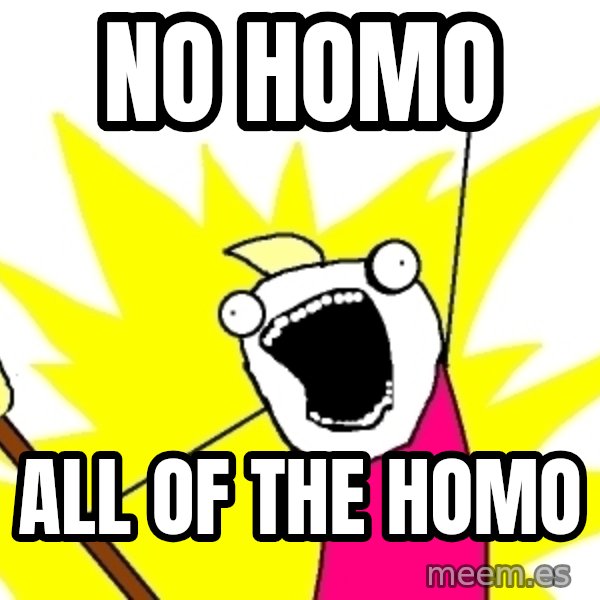 X ALL THE THINGS meme: NO HOMO / ALL OF THE HOMO