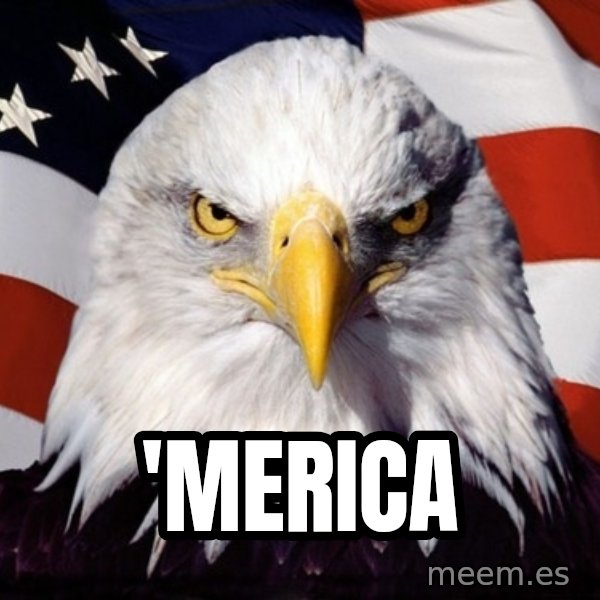 American Pride Eagle meme: 'MERICA