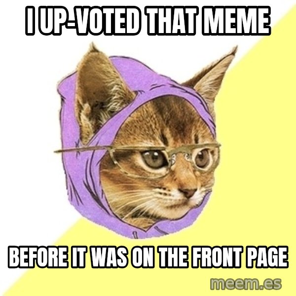 Hipster Kitty meme: I up-voted that meme / before it was on the front page