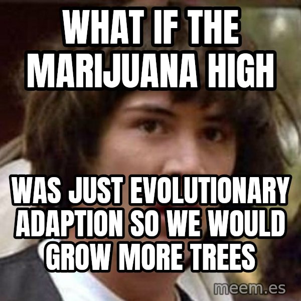 Conspiracy Keanu meme: what if the marijuana high / was just evolutionary adaption so we would grow more trees
