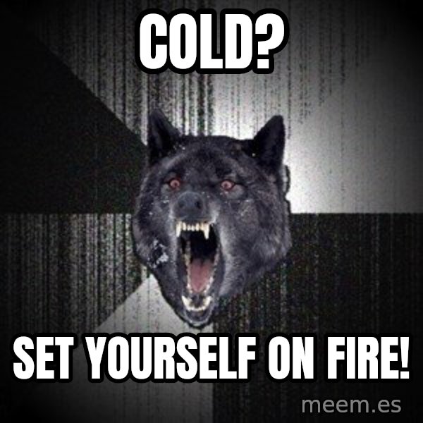 Insanity Wolf meme: Cold? / Set yourself on fire!