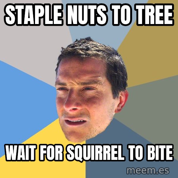 Bear Grylls meme: staple nuts to tree / wait for SQUIRREL to bite