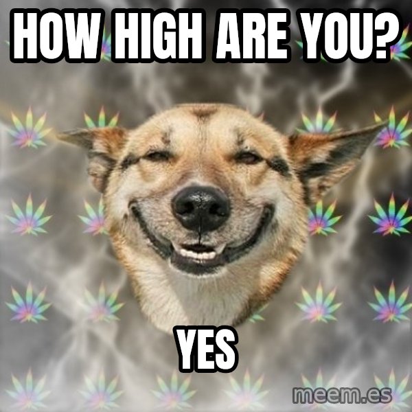 Stoner Dog meme: How high are you? / yes