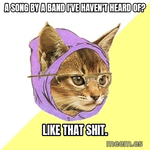Hipster Kitty meme: A song by a band I've haven't heard of? / Like that shit.