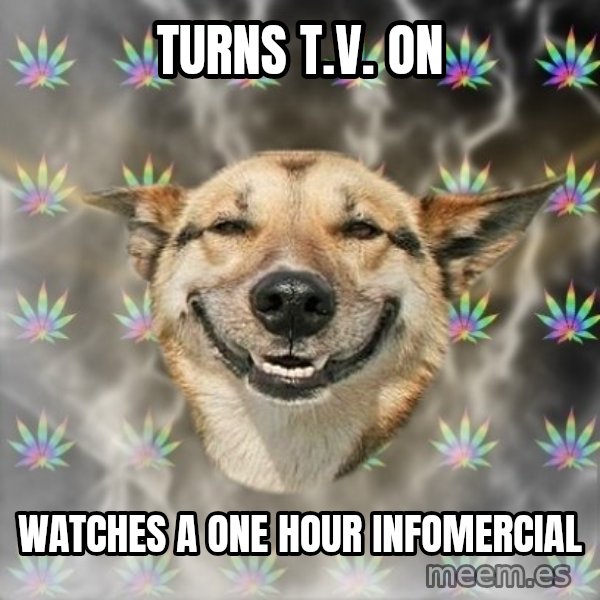 Stoner Dog meme: Turns t.v. on / watches a one hour infomercial