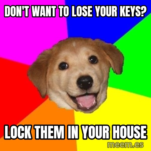 Advice Dog meme: Don't want to lose your keys? / lock them in your house