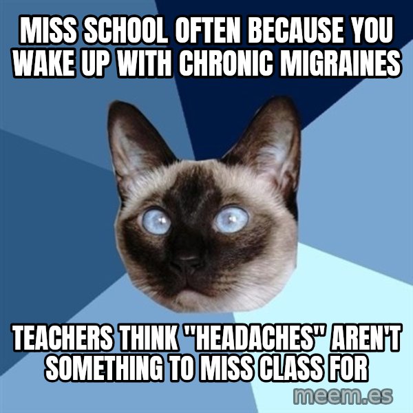 Chronic Illness Cat meme: miss school often because you wake up with chronic migraines / teachers think "headaches" aren't something to miss class for