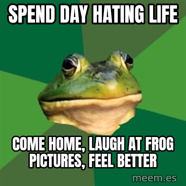 Foul Bachelor Frog meme: spend day hating life / come home, laugh at frog pictures, feel better