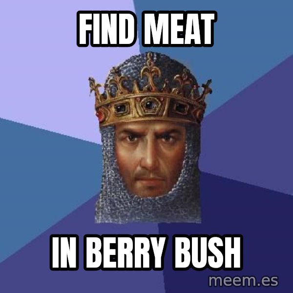 Age Of Empires meme: FIND MEAT / IN BERRY BUSH