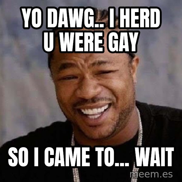 Yo Dawg meme: yo dawg.. i herd u were gay / so i came to... wait