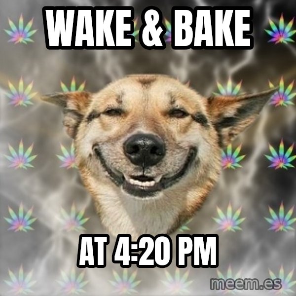 Stoner Dog meme: Wake & bake / at 4:20 Pm