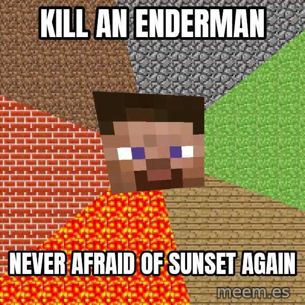 Minecraft Guy meme: kill an enderman / never afraid of sunset again