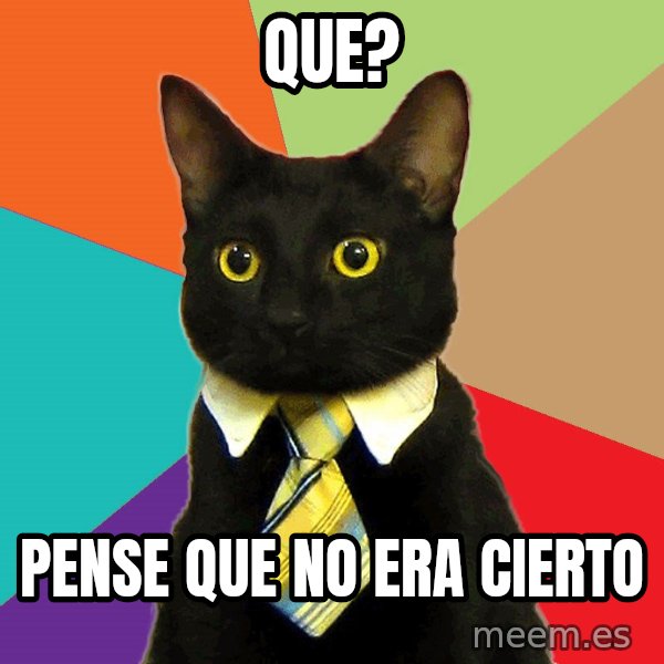 Business Cat meme: Que? / Pense que no era cierto