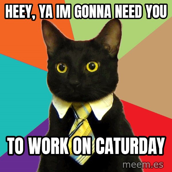 Business Cat meme: Heey, ya im gonna need you / to work on caturday