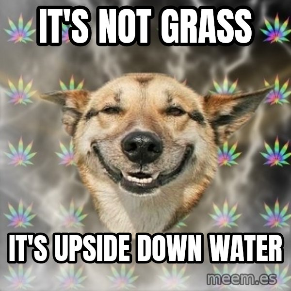 Stoner Dog meme: It's not grass / it's upside down water