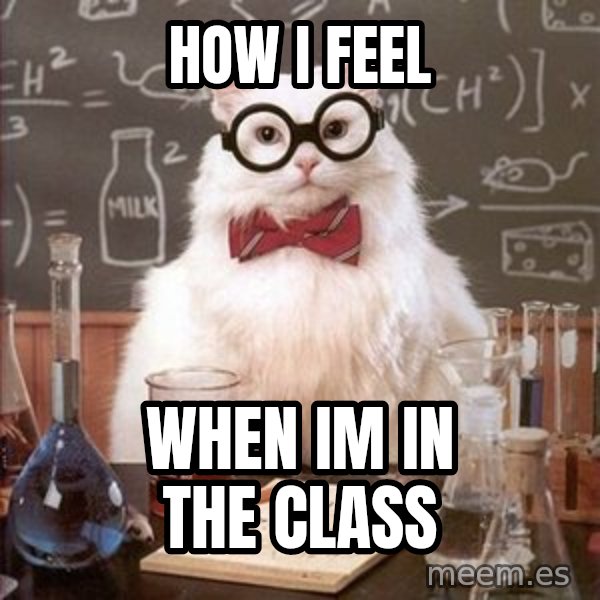 Chemistry Cat meme: how i feel / when im in the class